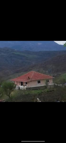 Vila Redi